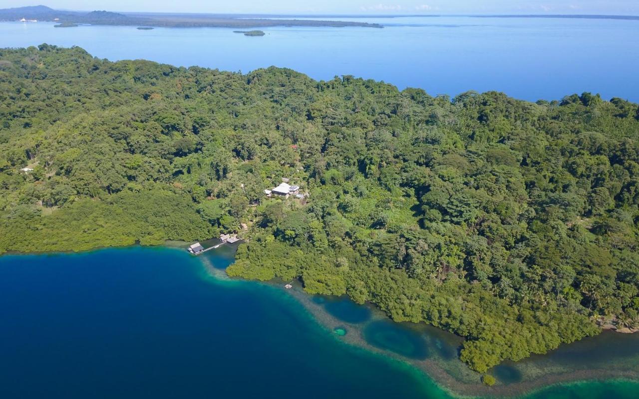 Finca Vela Lodge Бокас Екстер'єр фото