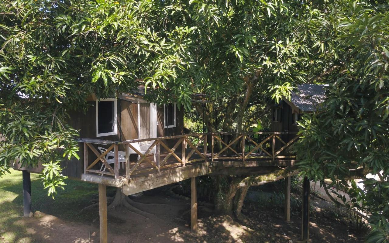 Finca Vela Lodge Бокас Екстер'єр фото