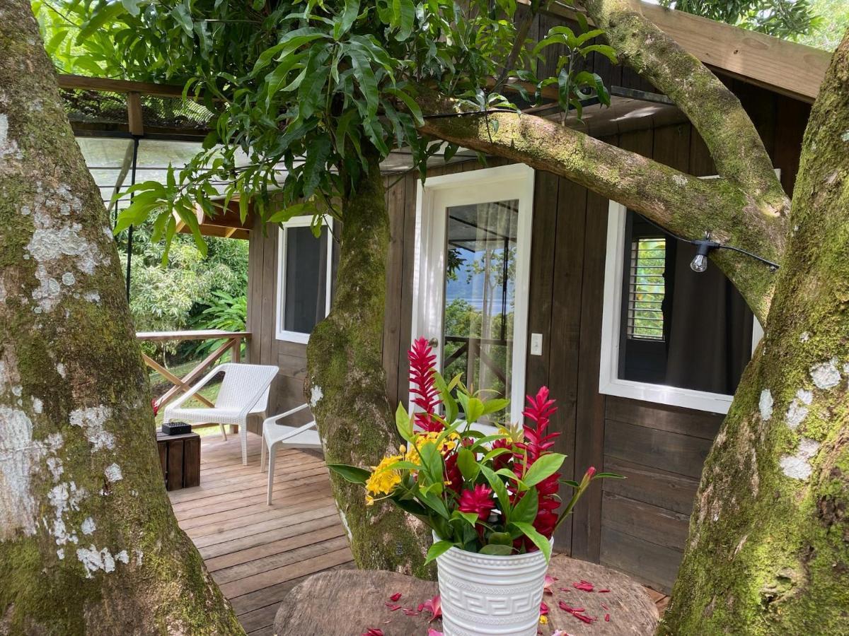 Finca Vela Lodge Бокас Екстер'єр фото