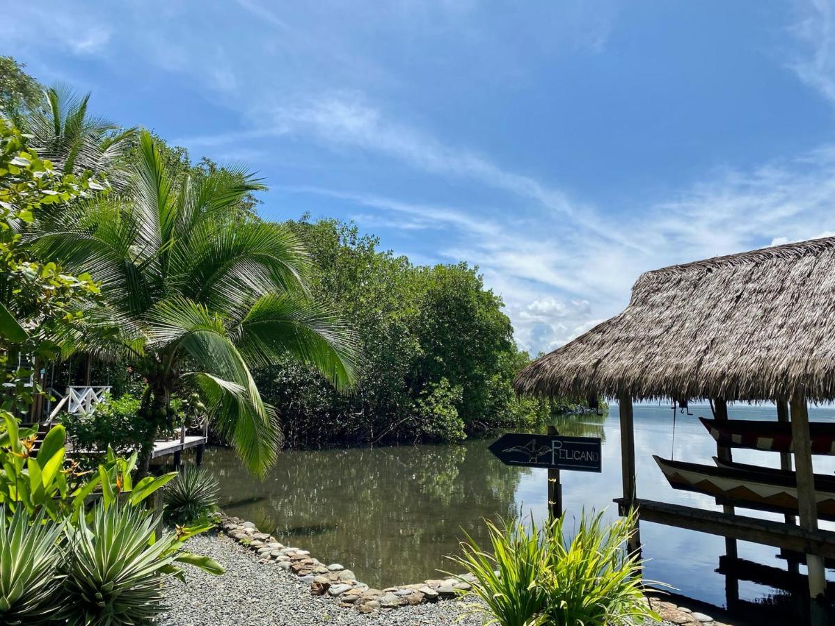 Finca Vela Lodge Бокас Екстер'єр фото