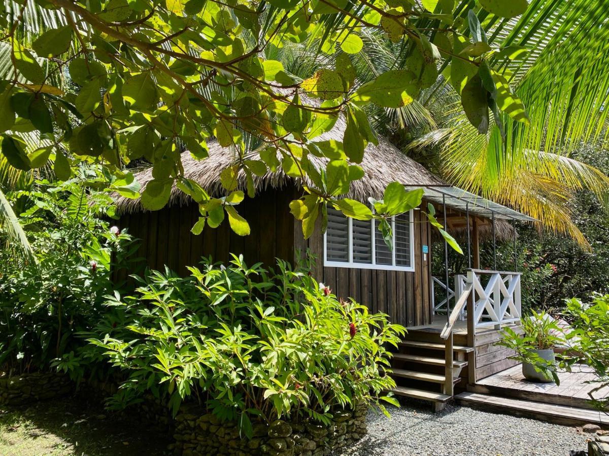 Finca Vela Lodge Бокас Екстер'єр фото