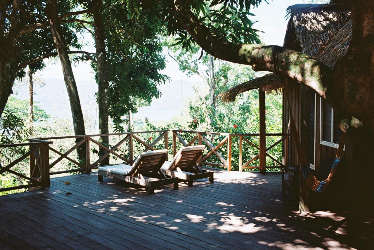 Finca Vela Lodge Бокас Екстер'єр фото