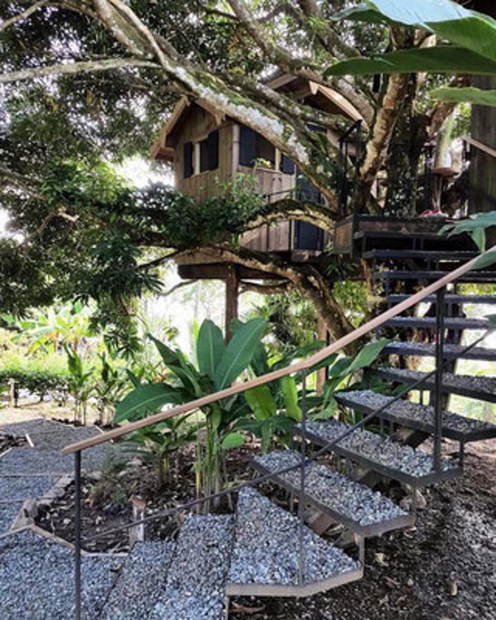 Finca Vela Lodge Бокас Номер фото